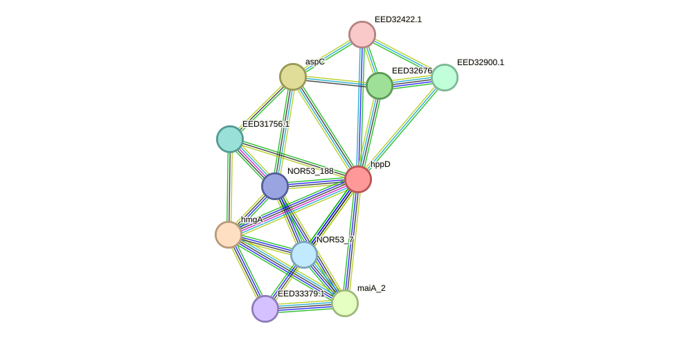 STRING protein interaction network