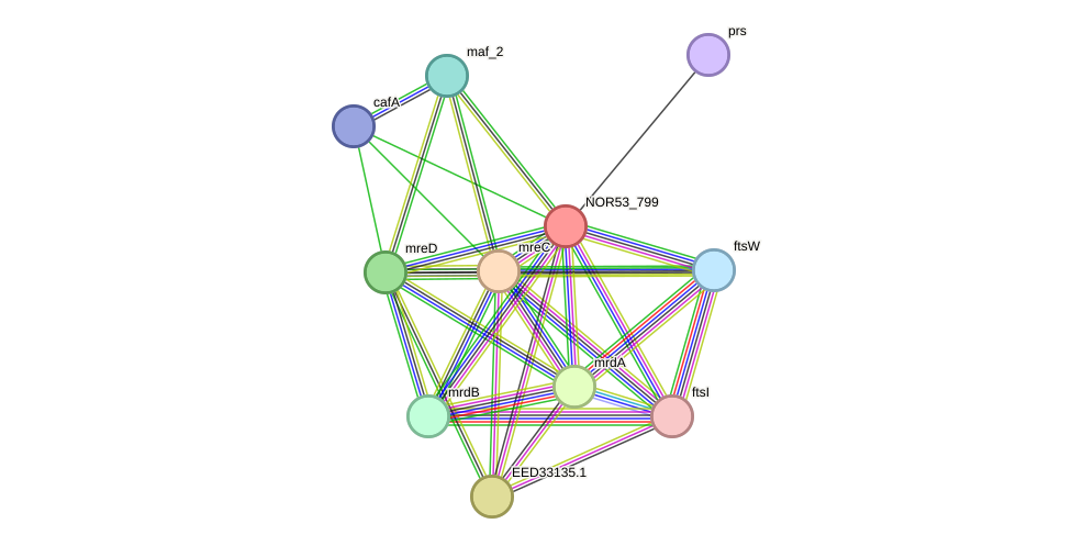 STRING protein interaction network