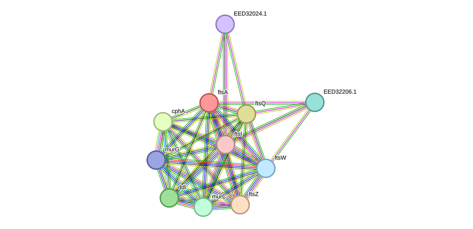 STRING protein interaction network