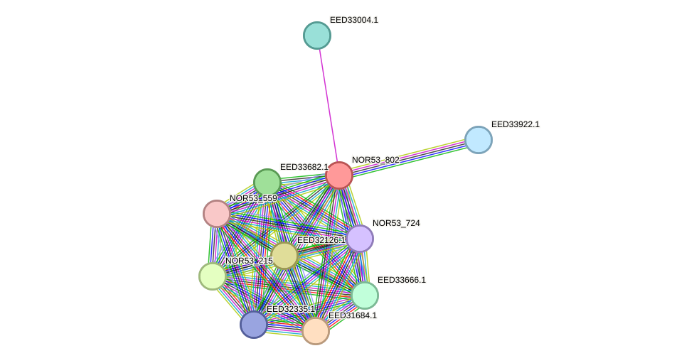 STRING protein interaction network