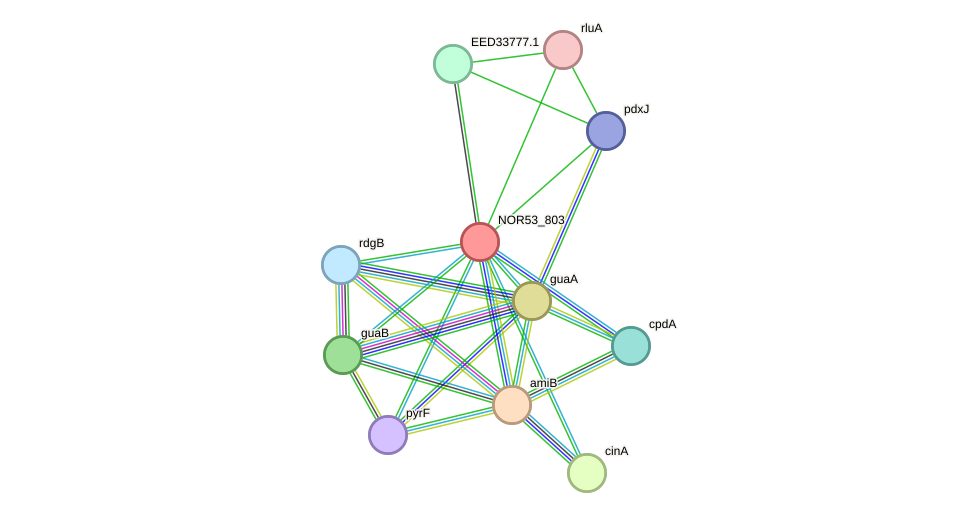 STRING protein interaction network
