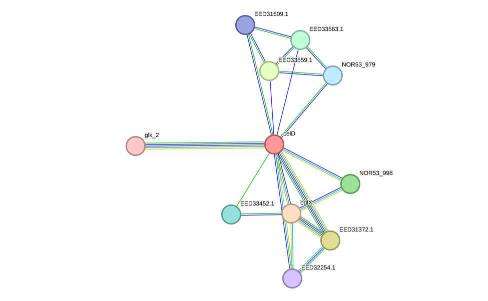 STRING protein interaction network