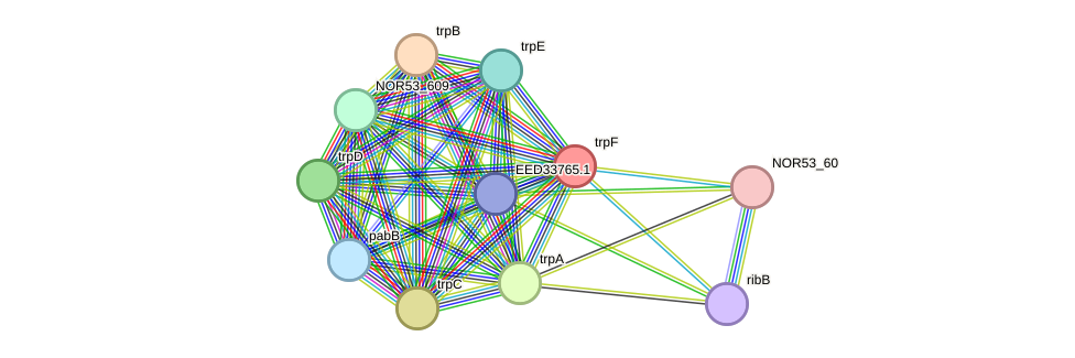 STRING protein interaction network