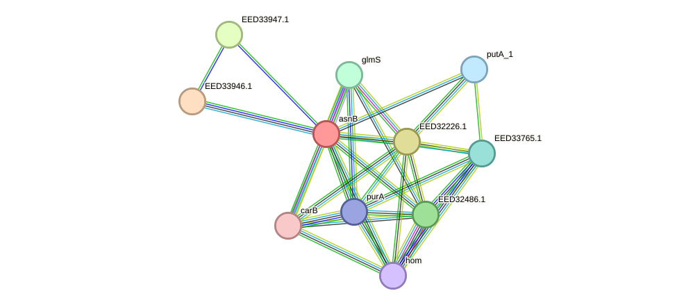 STRING protein interaction network