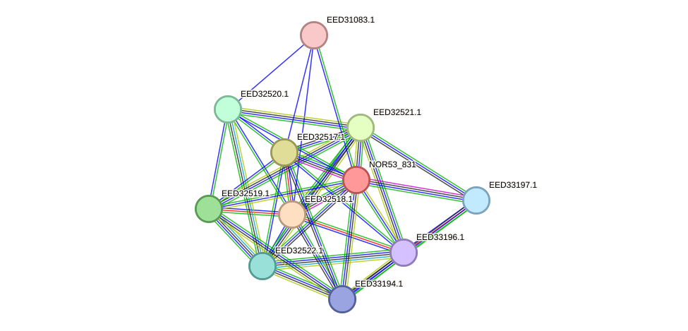 STRING protein interaction network