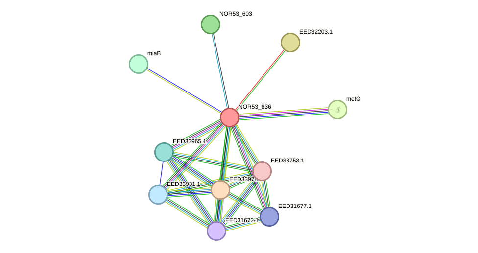 STRING protein interaction network