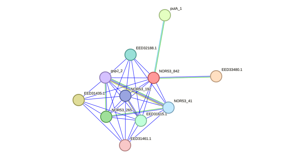 STRING protein interaction network