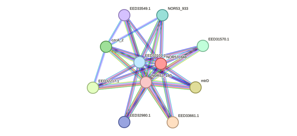 STRING protein interaction network