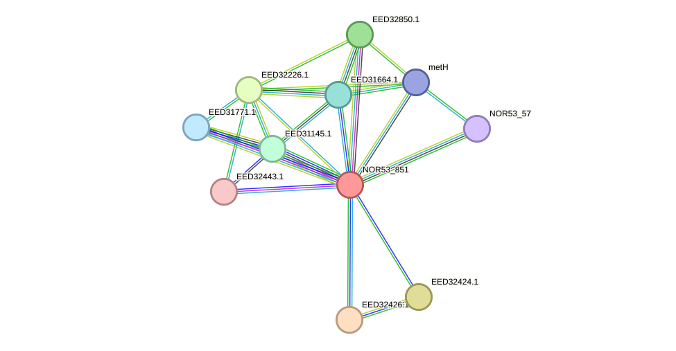 STRING protein interaction network