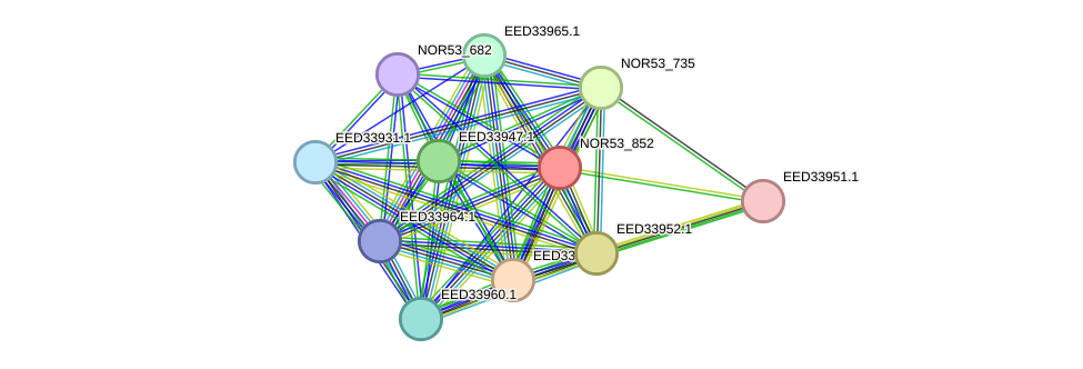 STRING protein interaction network