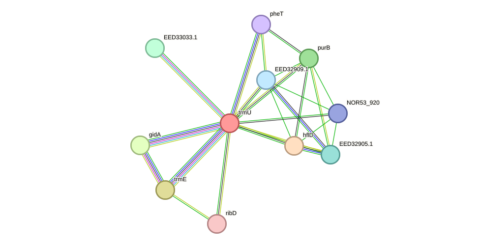 STRING protein interaction network