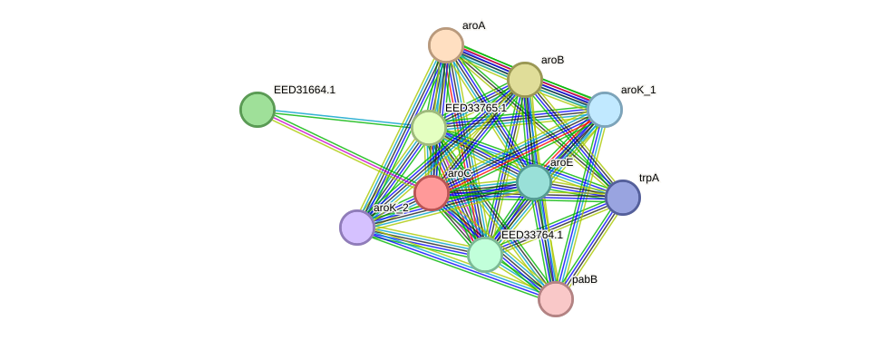 STRING protein interaction network