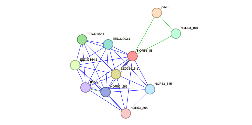 STRING protein interaction network