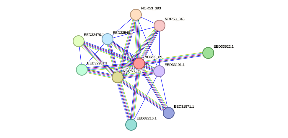 STRING protein interaction network