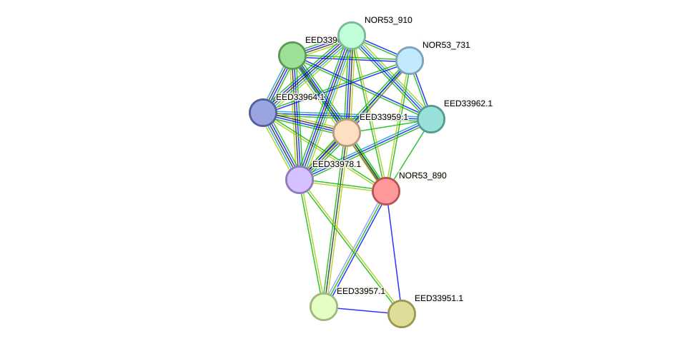 STRING protein interaction network