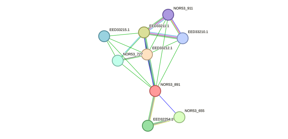 STRING protein interaction network