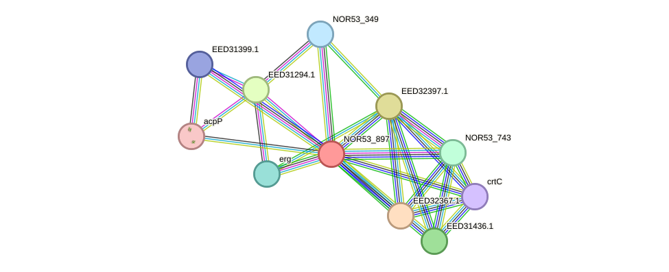 STRING protein interaction network