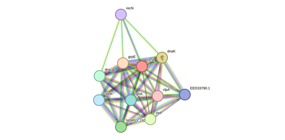 STRING protein interaction network