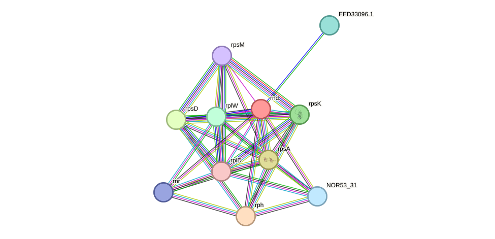 STRING protein interaction network