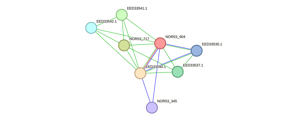 STRING protein interaction network