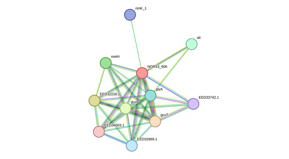 STRING protein interaction network