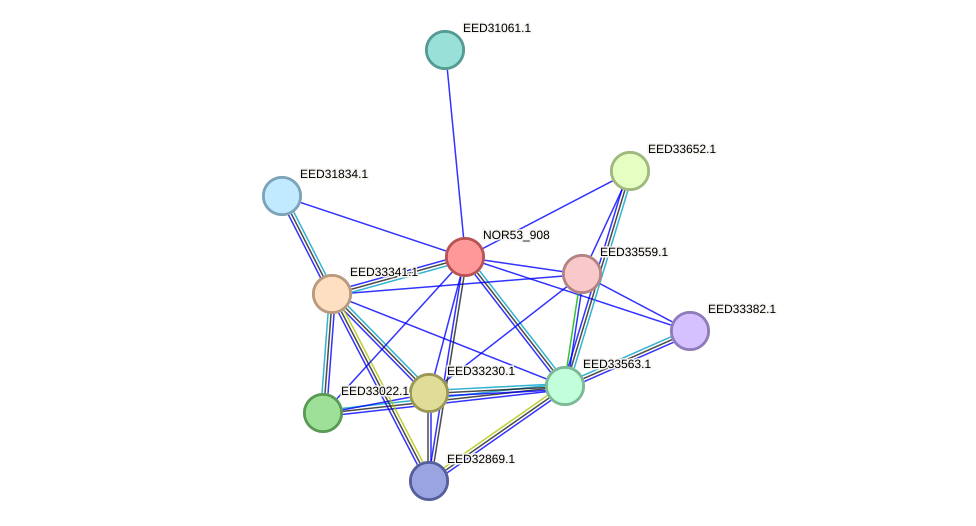 STRING protein interaction network
