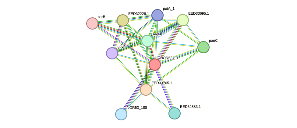 STRING protein interaction network