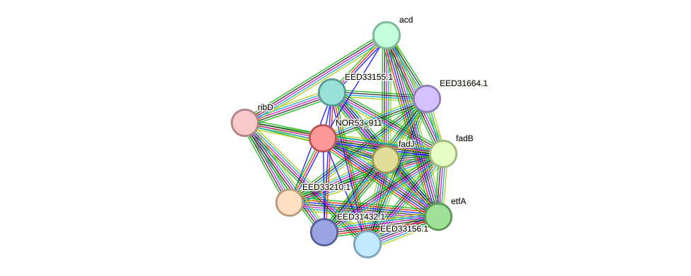 STRING protein interaction network