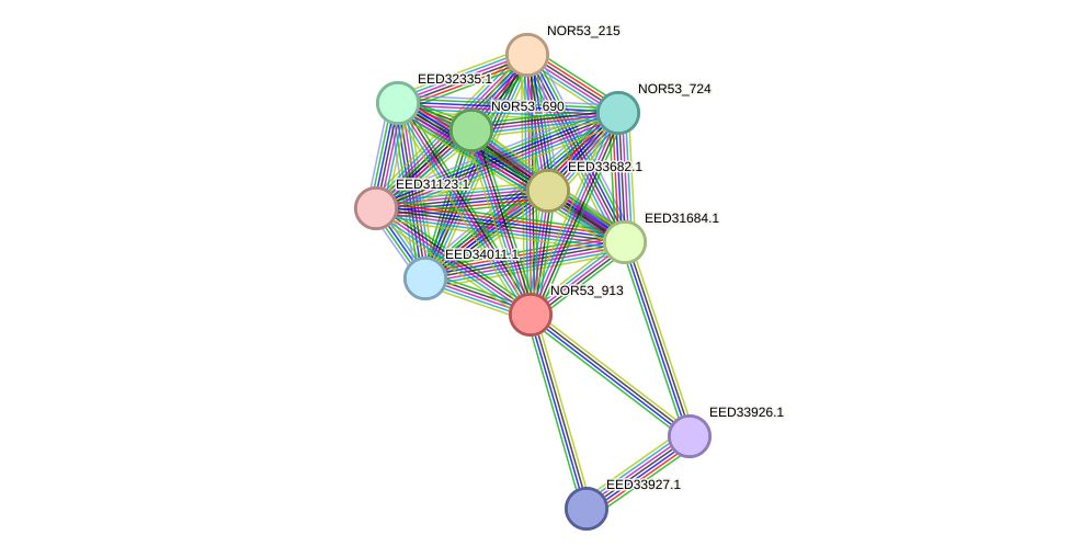 STRING protein interaction network