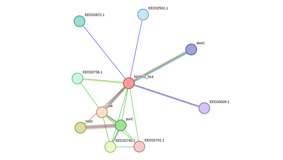 STRING protein interaction network