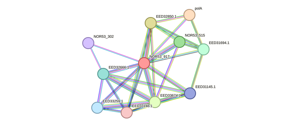 STRING protein interaction network