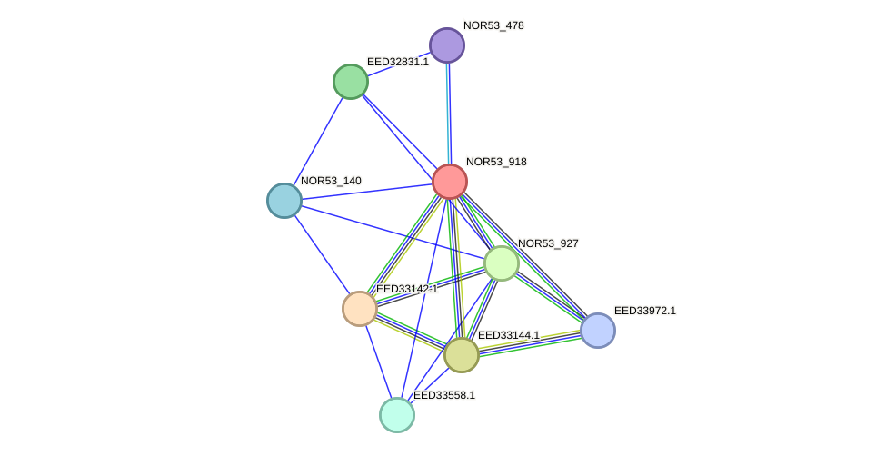 STRING protein interaction network