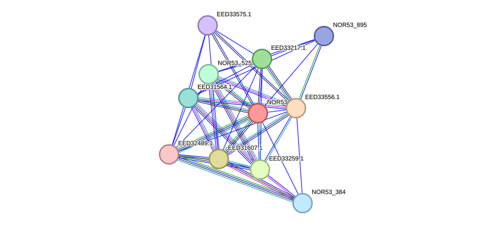 STRING protein interaction network