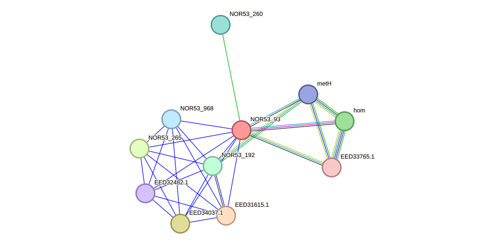 STRING protein interaction network