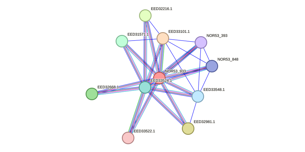 STRING protein interaction network