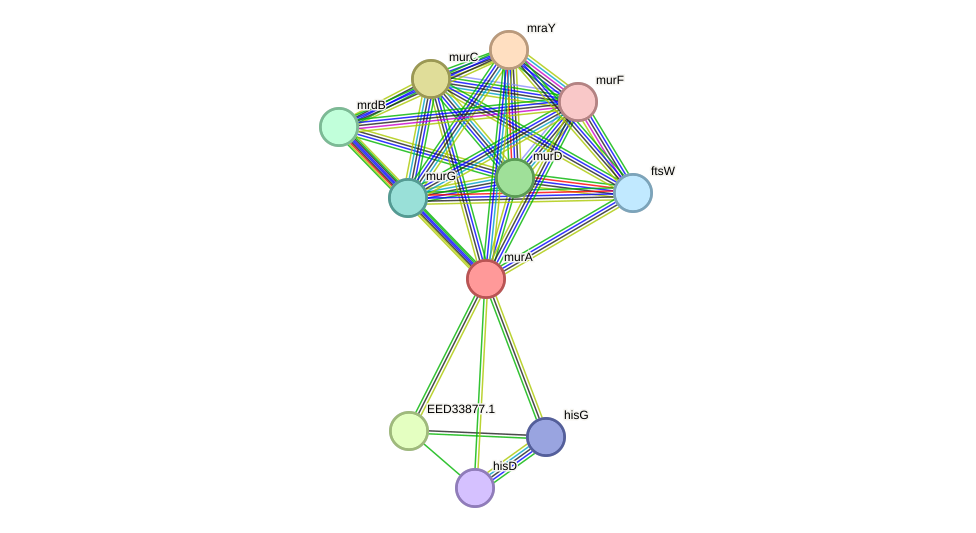 STRING protein interaction network