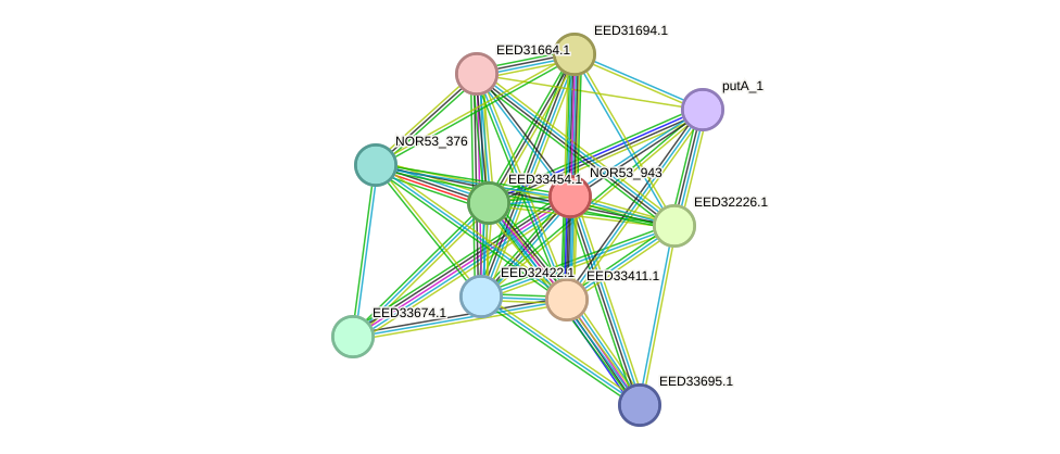 STRING protein interaction network