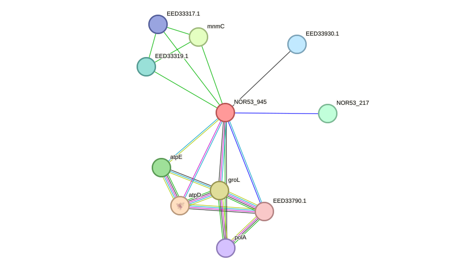 STRING protein interaction network