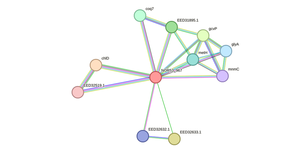 STRING protein interaction network
