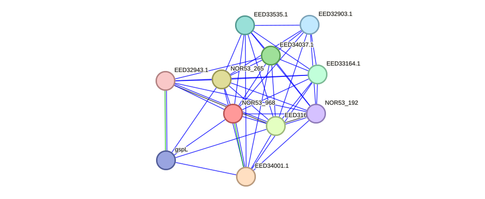 STRING protein interaction network