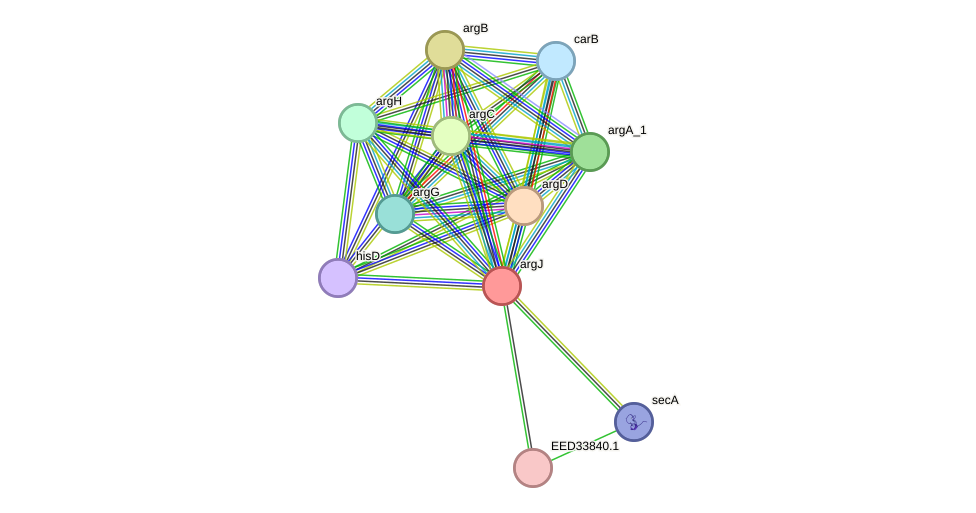 STRING protein interaction network