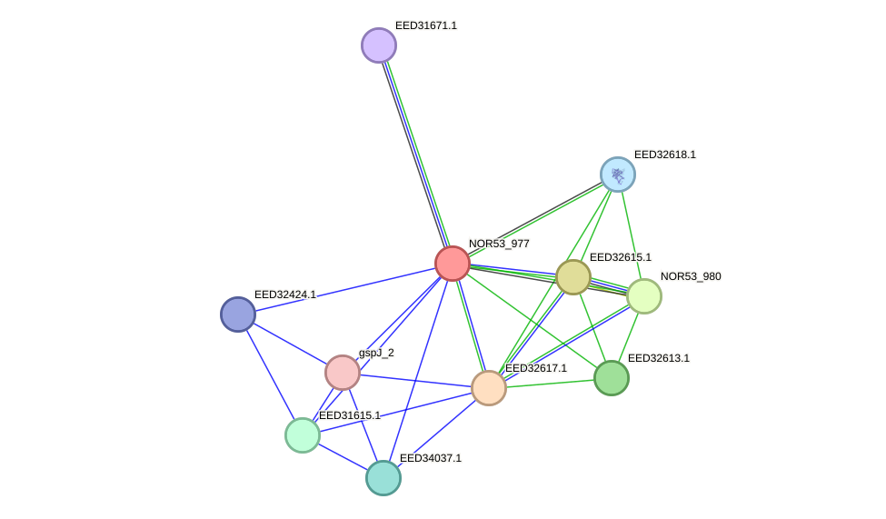 STRING protein interaction network