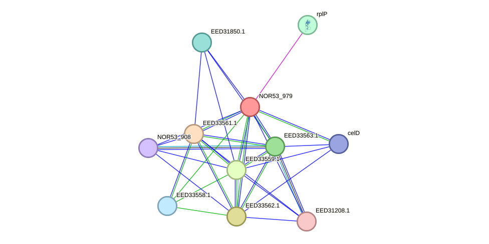 STRING protein interaction network