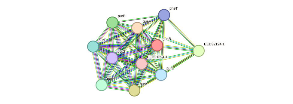 STRING protein interaction network