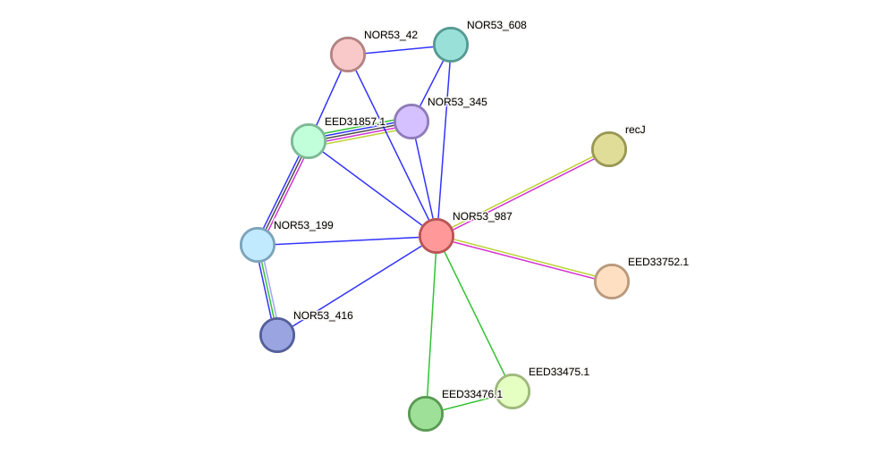 STRING protein interaction network