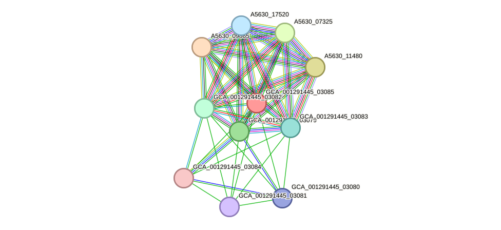 STRING protein interaction network