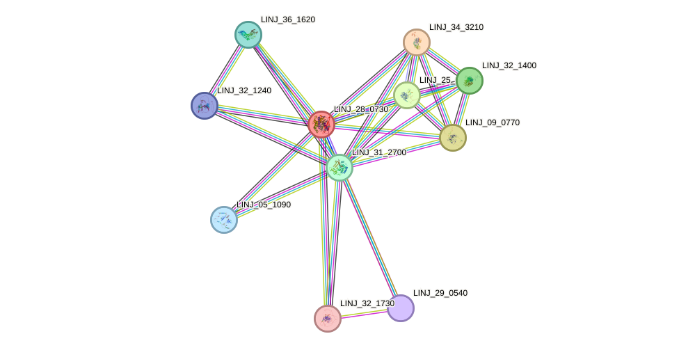 STRING protein interaction network