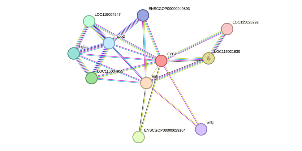 STRING protein interaction network