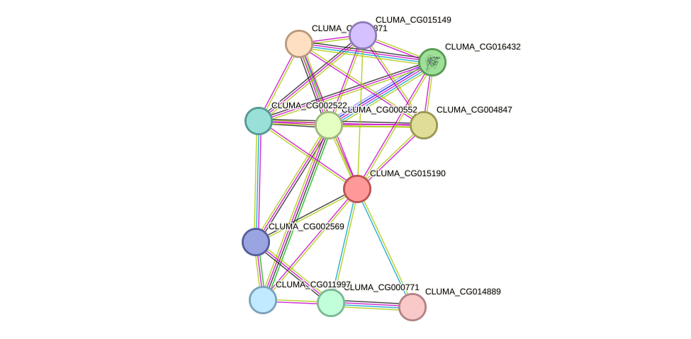 STRING protein interaction network