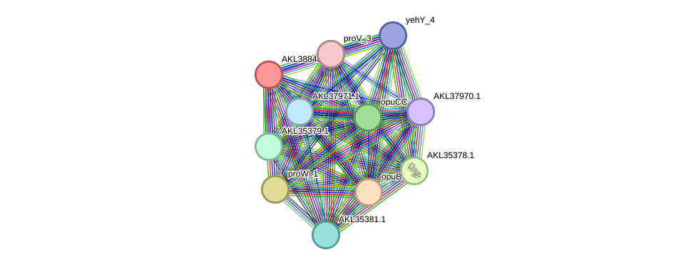 STRING protein interaction network